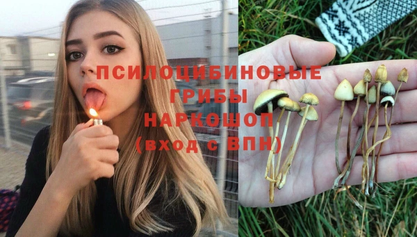 spice Белокуриха
