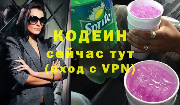 шишки Белоозёрский